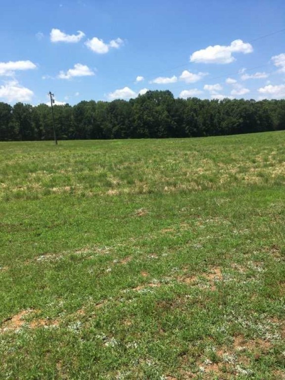 0 Murdock Road Belton, SC 29627 - Photo 2 of 4