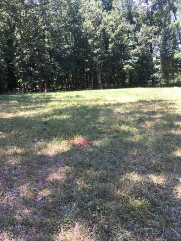 0 Murdock Road Belton, SC 29627 - Photo 3 of 4