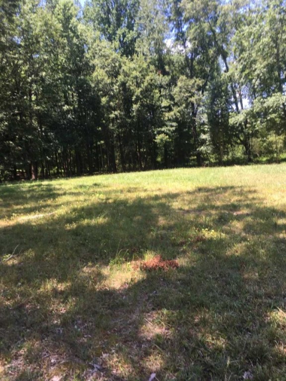 0 Murdock Road Belton, SC 29627 - Photo 4 of 4