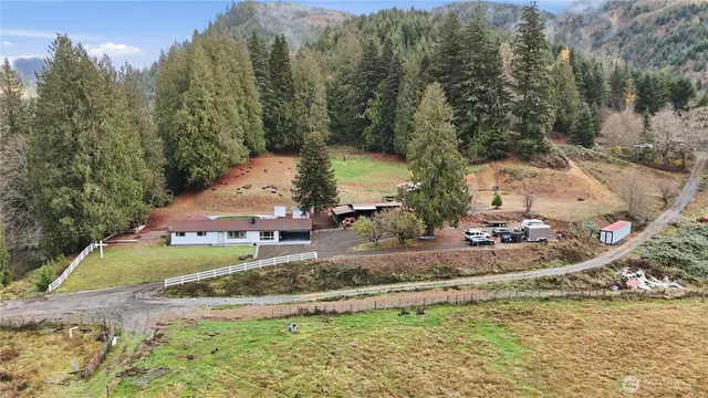 a view of a park with large trees