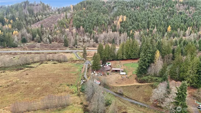 a view of a yard with a tree