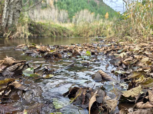 a picture of lake view