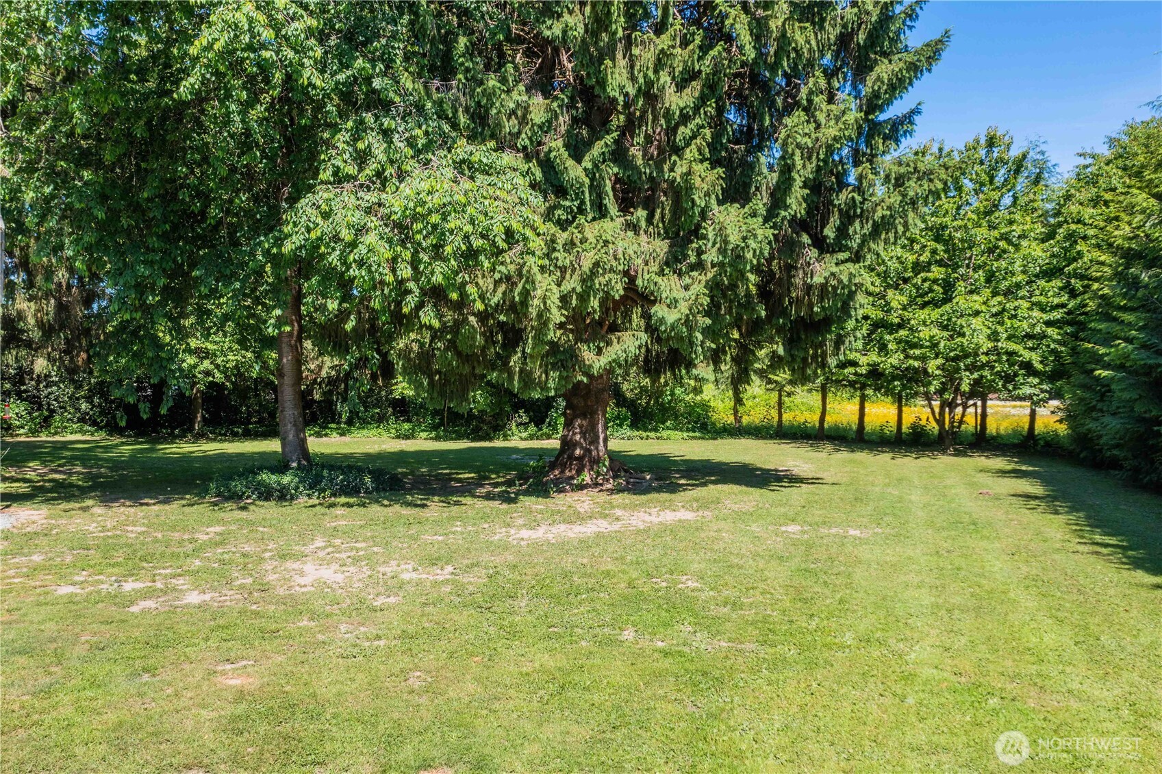 36153 Cape Horn Road Sedro-Woolley, WA 98284 - Photo 29 of 40