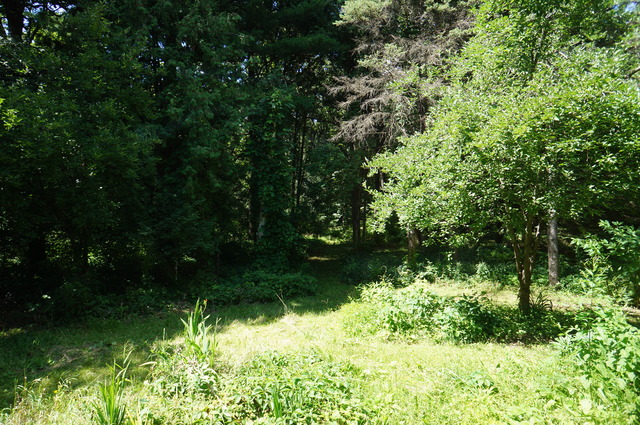 4S943 West County Line Road Big Rock, IL 60511 - Photo 15 of 24 a view of a garden