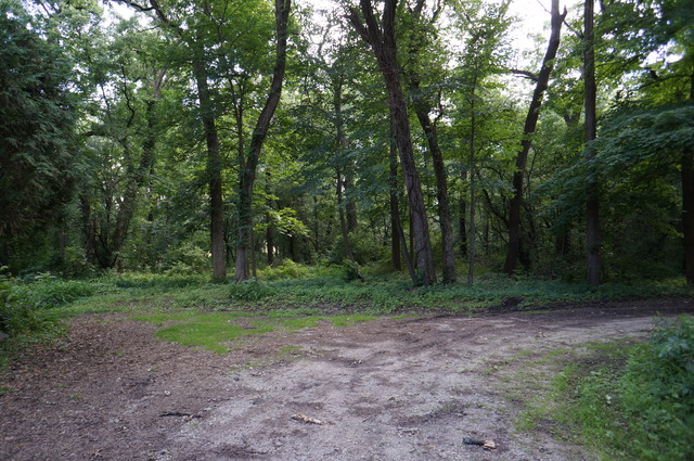 4S943 West County Line Road Big Rock, IL 60511 - Photo 17 of 24 a view of a forest with trees in the background