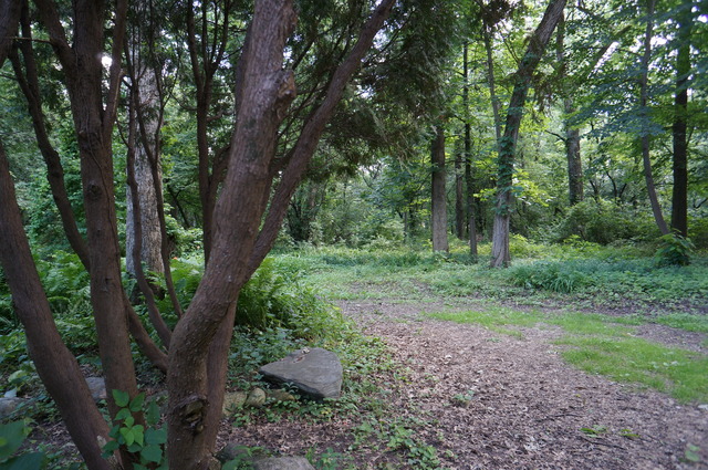 4S943 West County Line Road Big Rock, IL 60511 - Photo 19 of 24 a view of a forest with trees