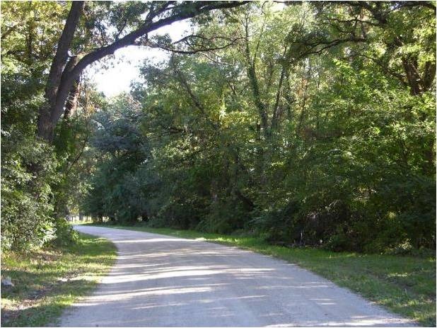 4S943 West County Line Road Big Rock, IL 60511 - Photo 22 of 24 a view of a yard with a large trees