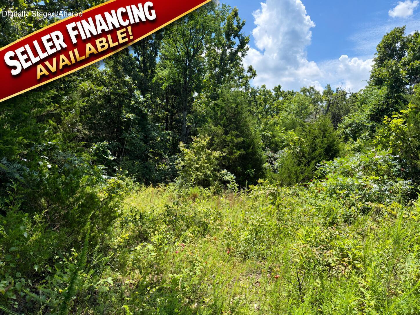 0 Ranch Road Willow Springs, MO 65793 - Photo 1 of 16 #1