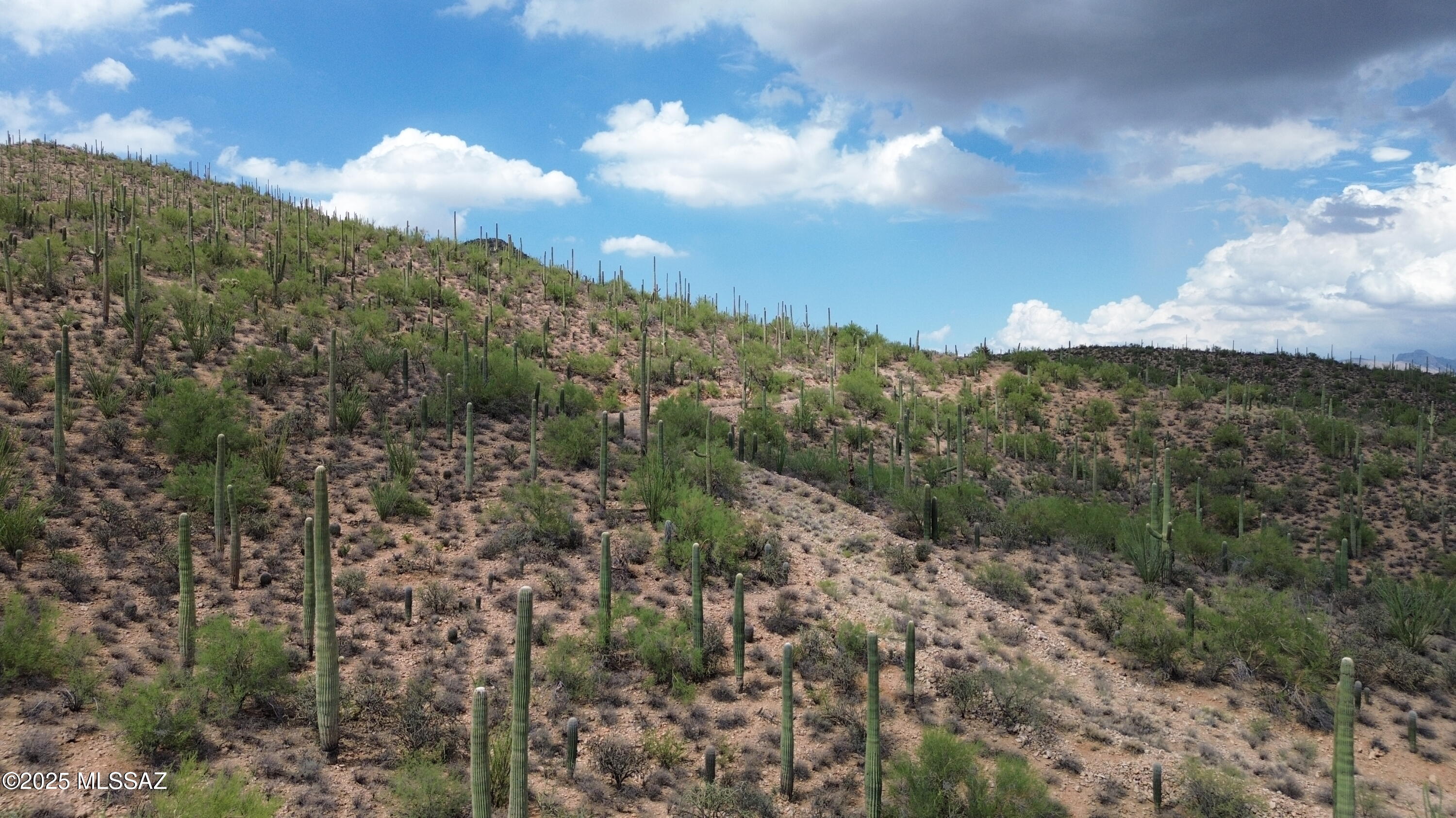 475 South Hotel Service Road Tucson, AZ 85745 - Photo 42 of 49 DJI_0769