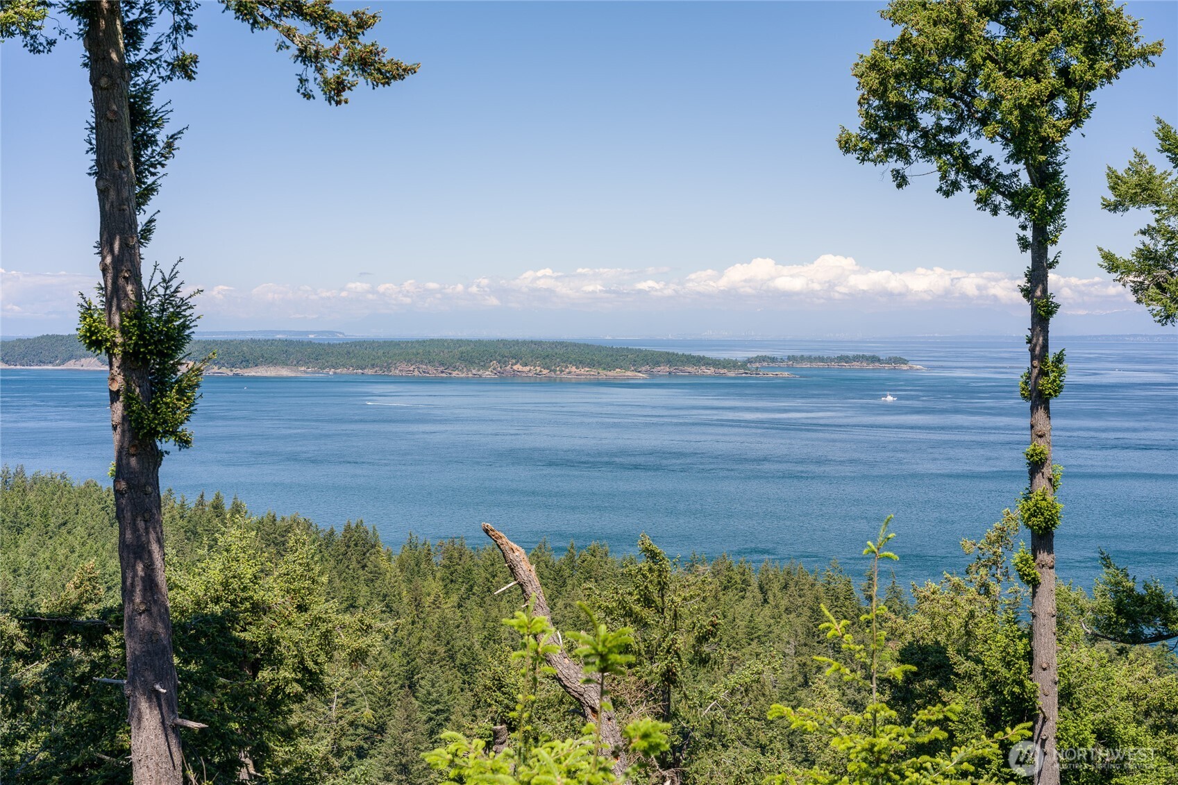 463 Wright Road Orcas Island, WA 98245 - Photo 12 of 40 a view of a yard with an ocean view