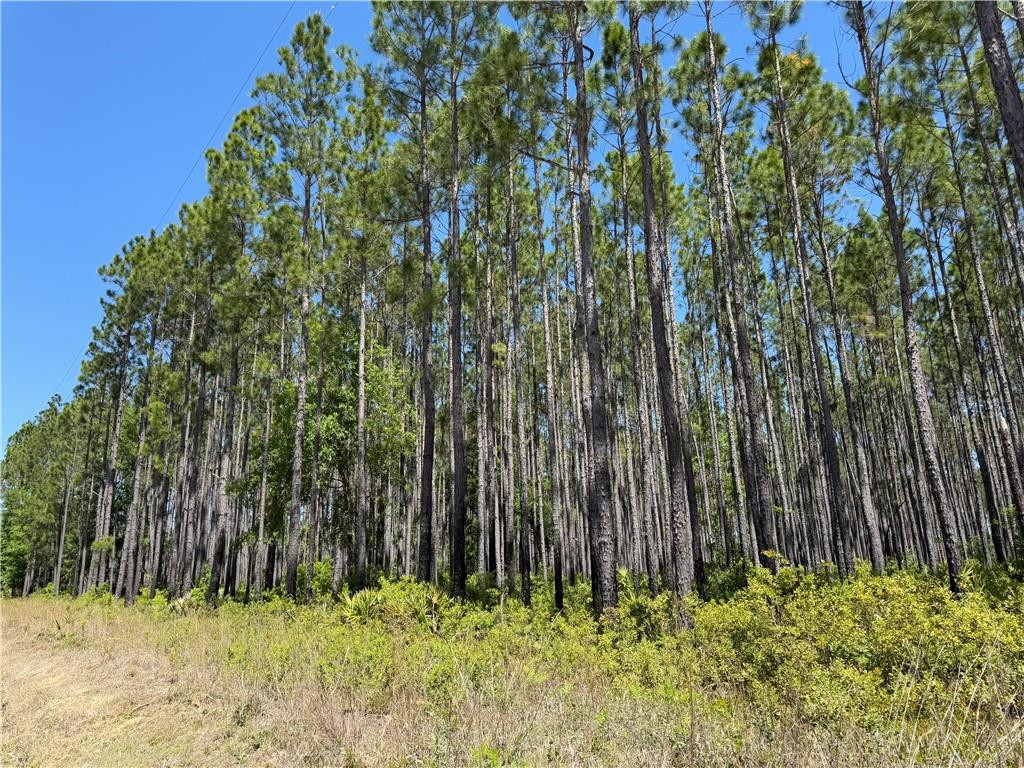 8.84 Strickland Road Waycross, GA 31503 - Photo 6 of 15 Photo 6