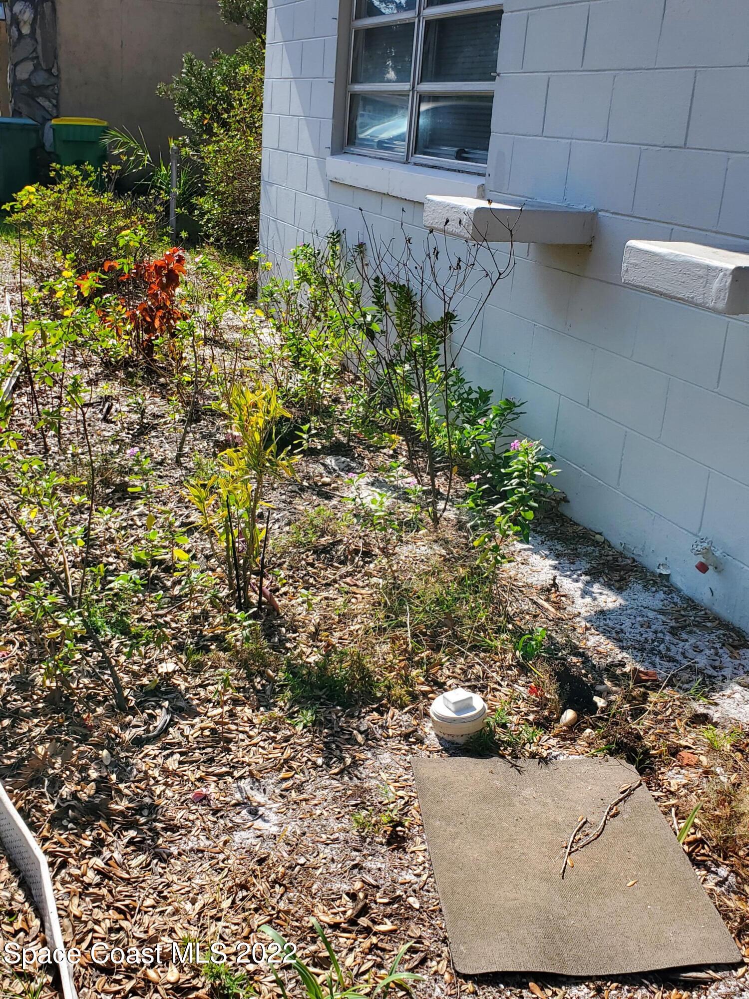 1507 Emory Lane Cocoa, FL 32922 - Photo 5 of 57 a view of a garden with plants