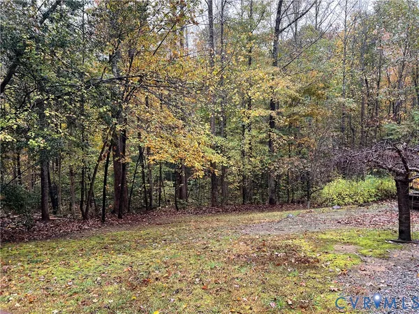 a view of backyard with green space