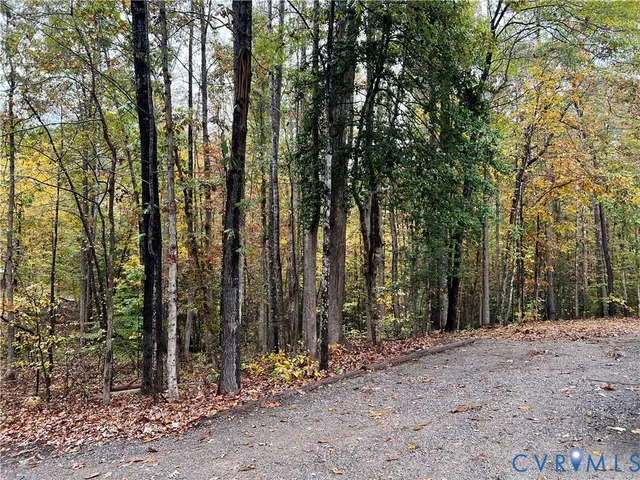 a view of a forest with trees