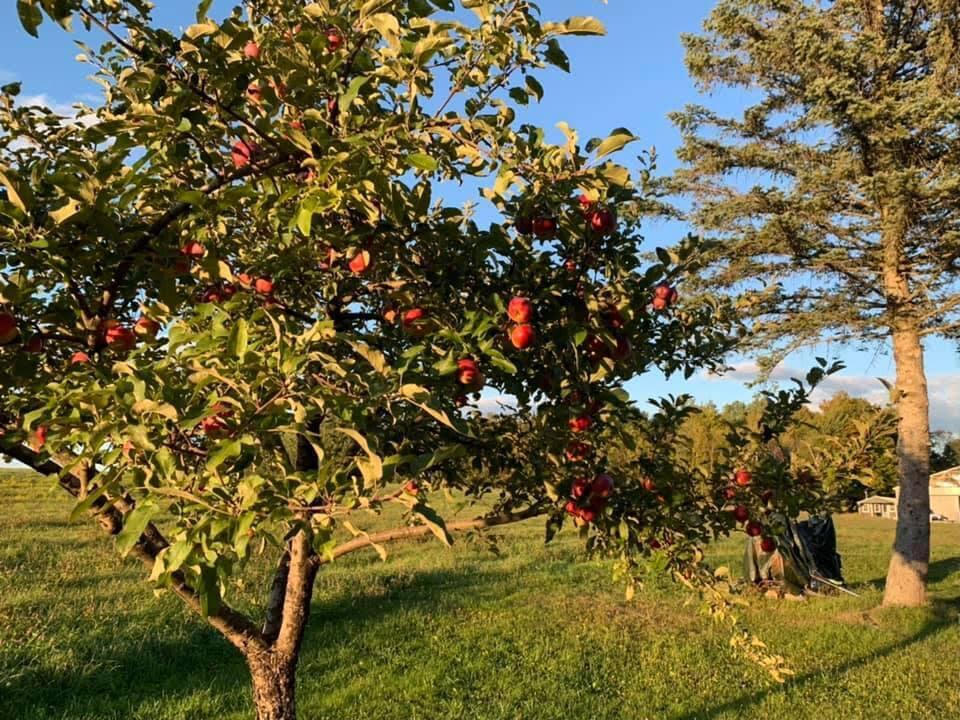 356 Range Road Dover Foxcroft, ME 04426 - Photo 51 of 57 unnamed