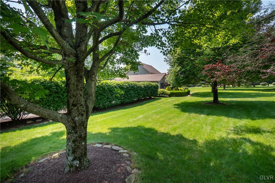 201 Ruth Road Bath, PA 18014 - Photo 35 of 49 a view of a trees with a yard