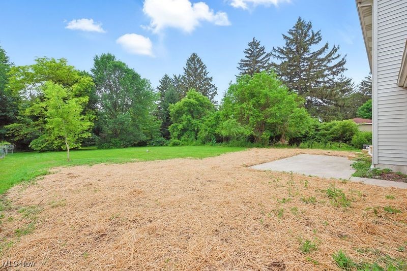 25901 Kennedy Ridge Road North Olmsted, OH 44070 - Photo 40 of 45 Gallery Image 40