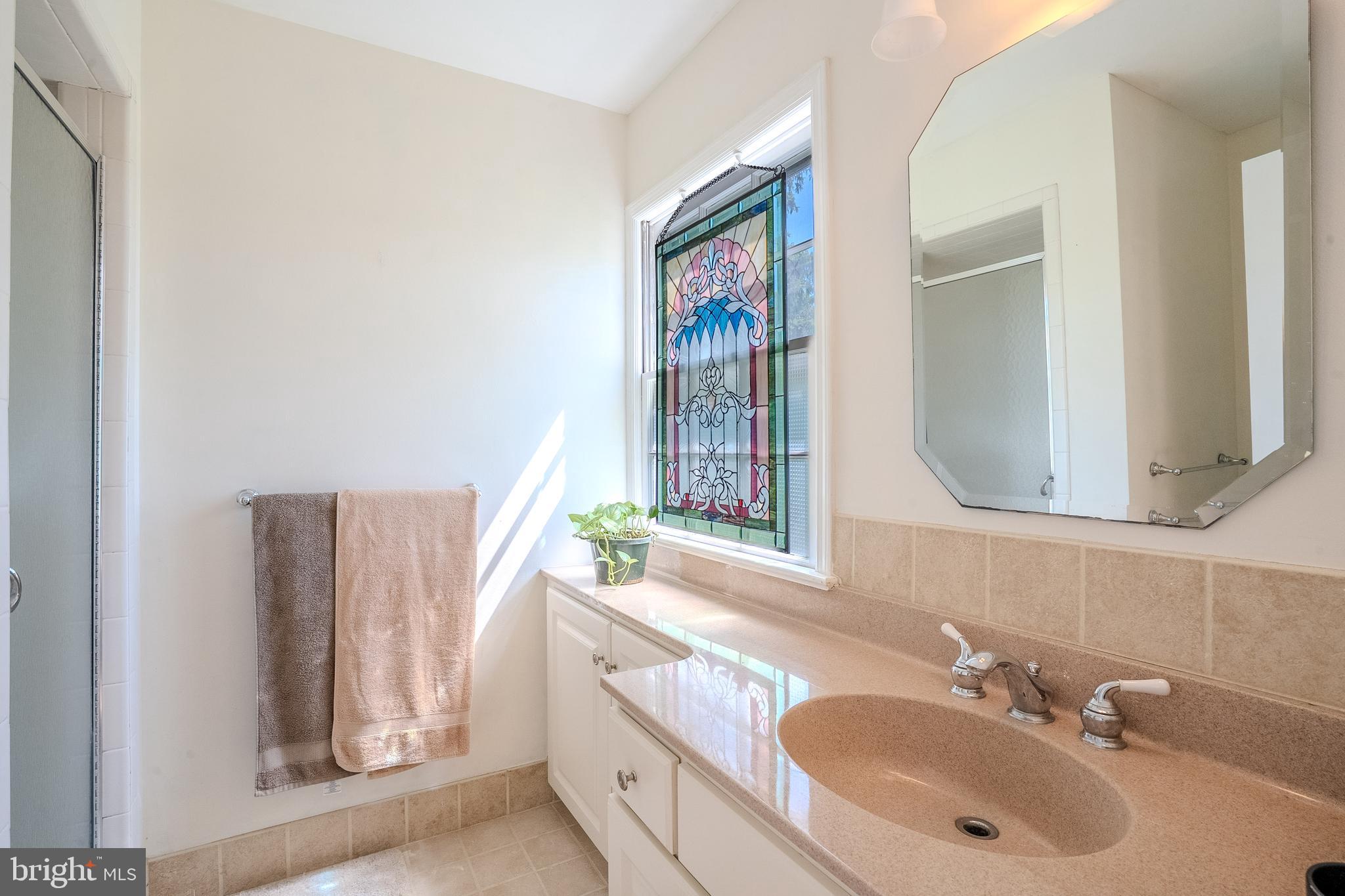 1165 Bear Tavern Road Titusville, NJ 08560 - Photo 37 of 47 Primary bathroom