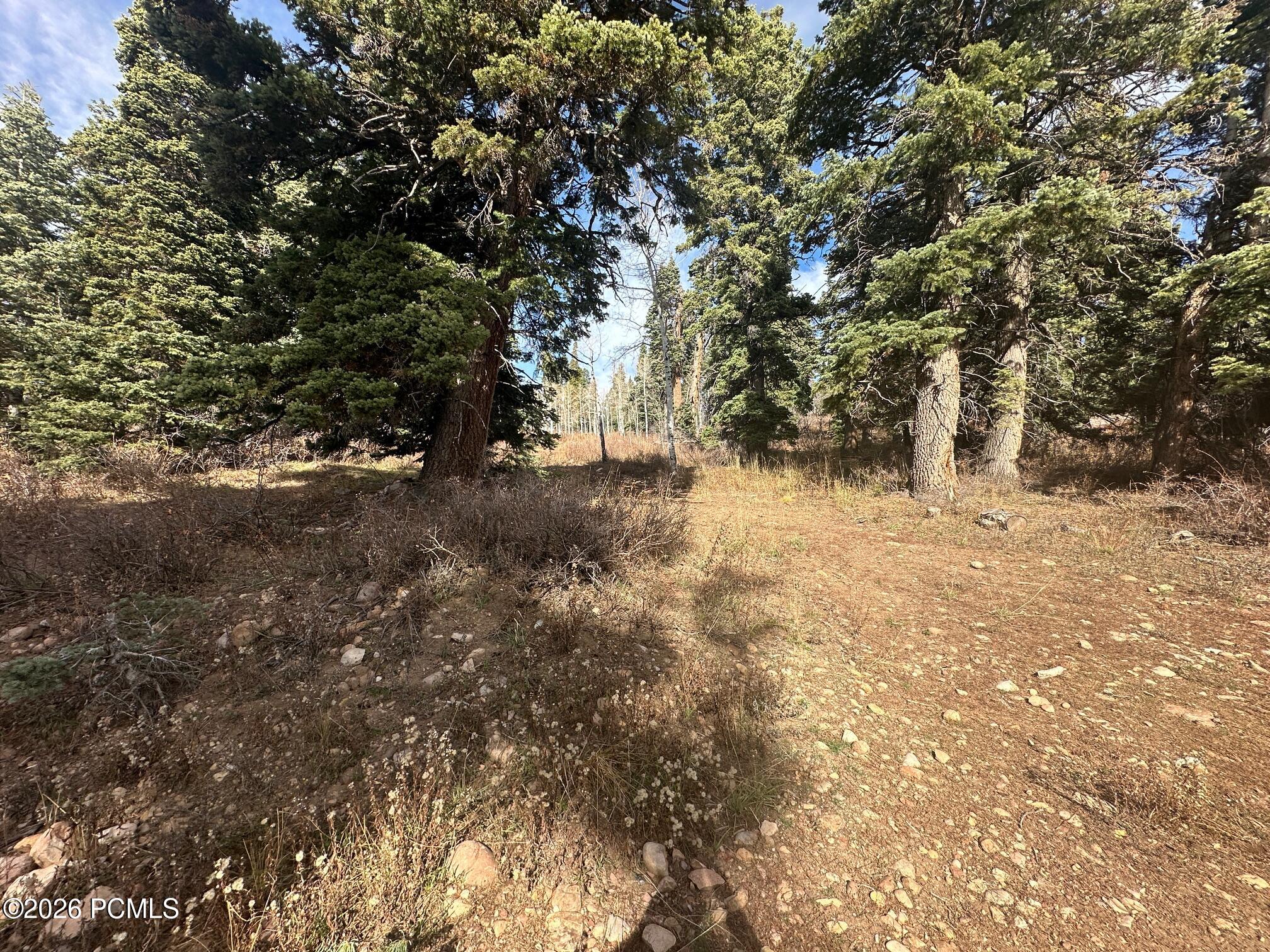 1974 Elk Road Coalville, UT 84017 - Photo 15 of 19