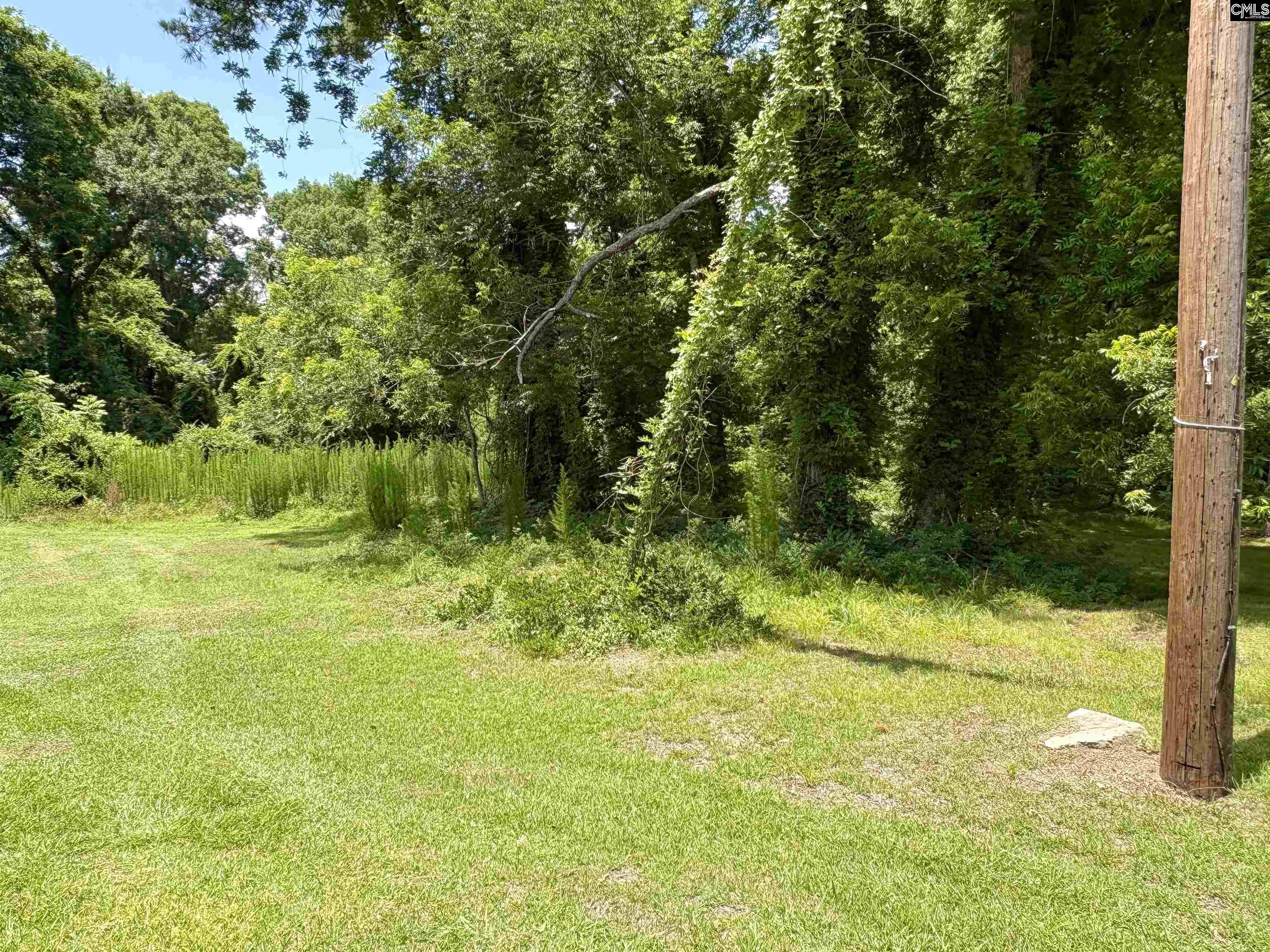 127 Feaster Street Whitmire, SC 29178 - Photo 9 of 34