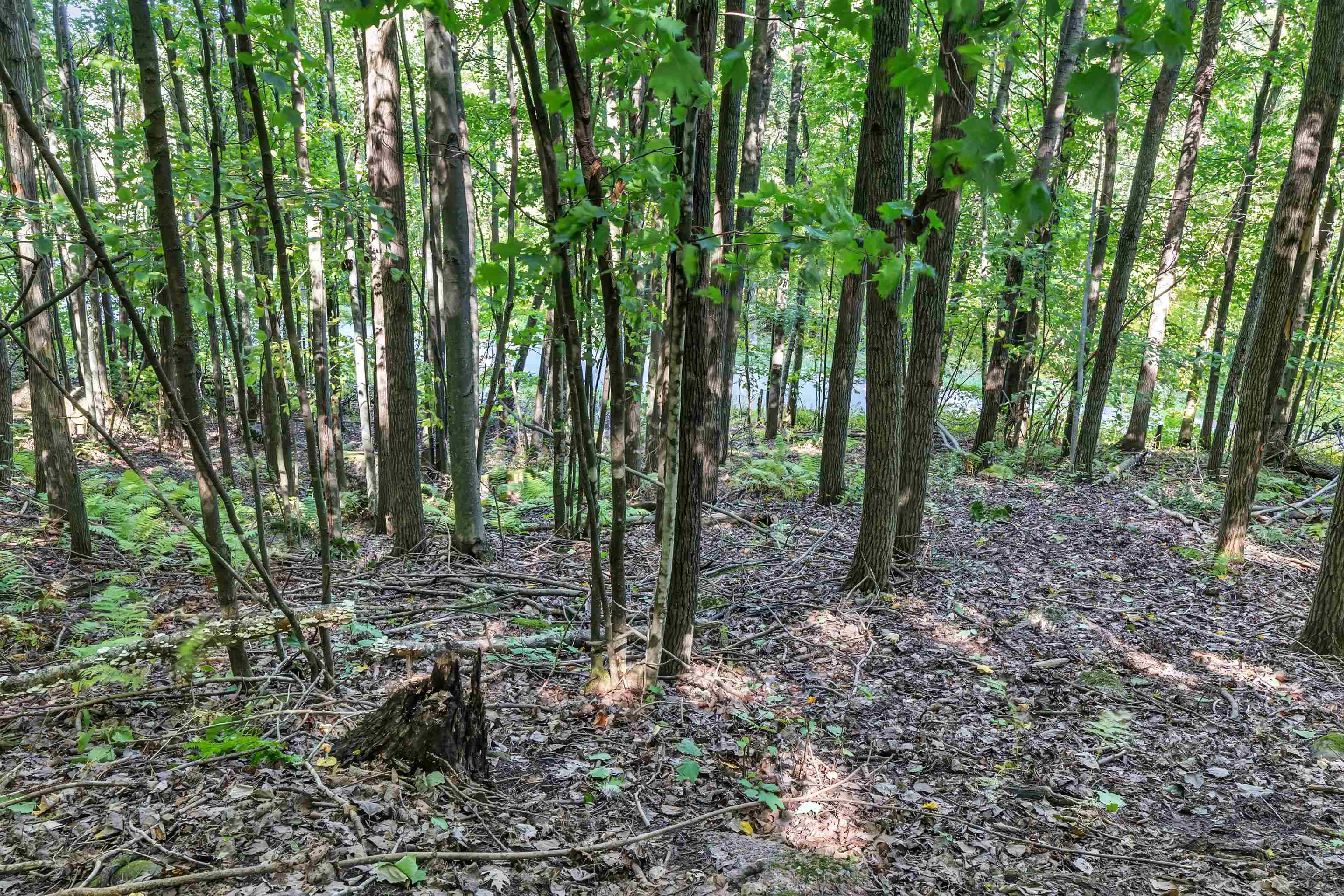West Hill Road Iola, WI 54945 - Photo 10 of 22 Gallery Image 10