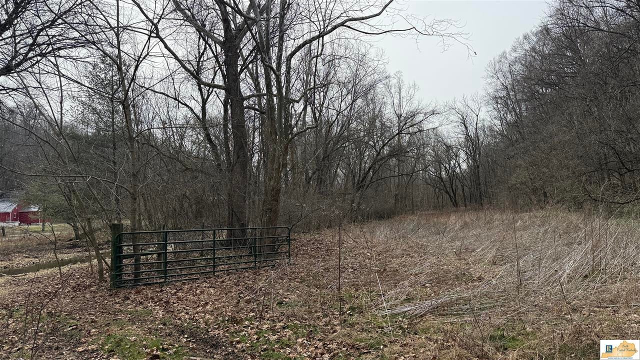 439 Spout Springs Road Knifley, KY 42753 - Photo 58 of 92 Gallery Image 58