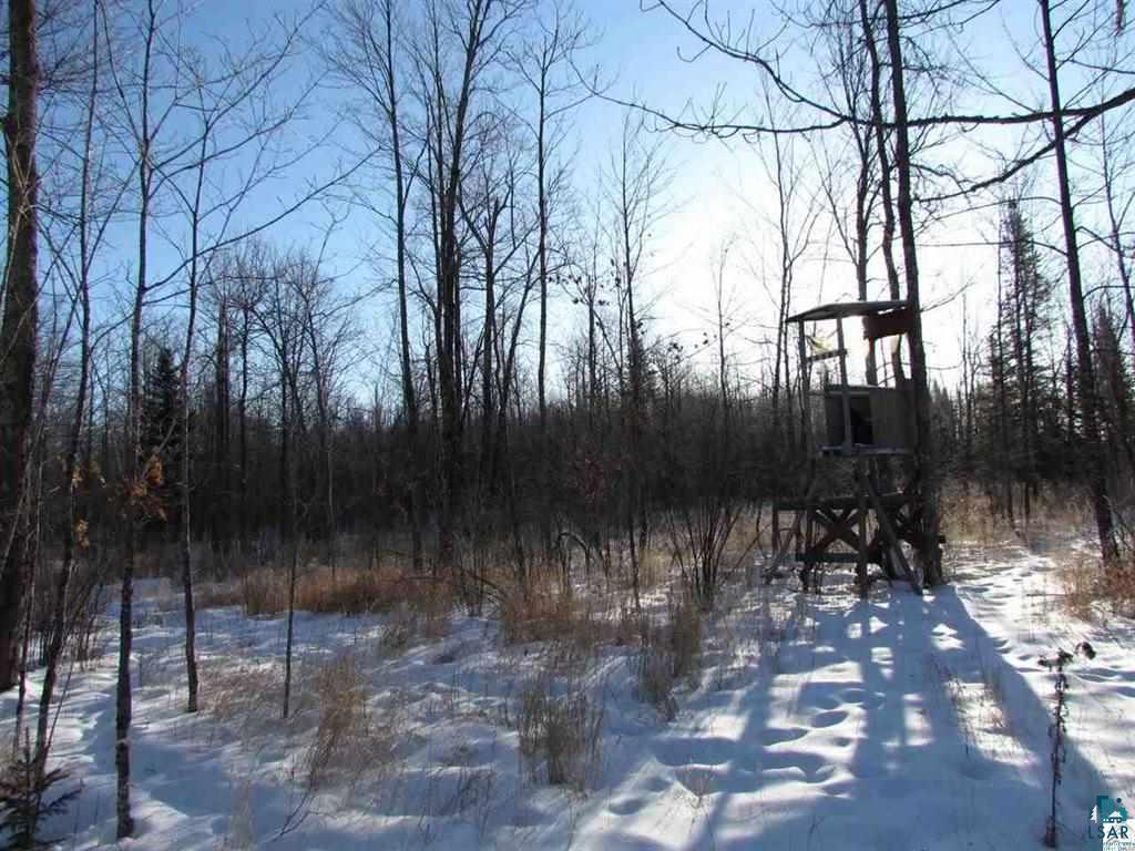 6523 Franks Road Wright, MN 55798 - Photo 13 of 23 Gallery Image 13