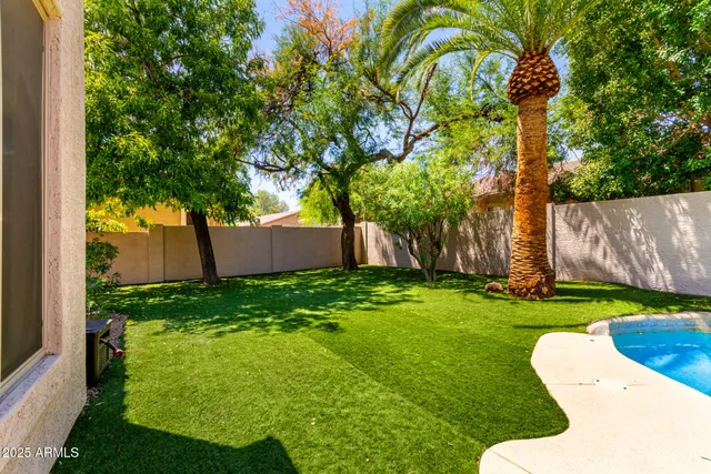 a view of a garden with plants