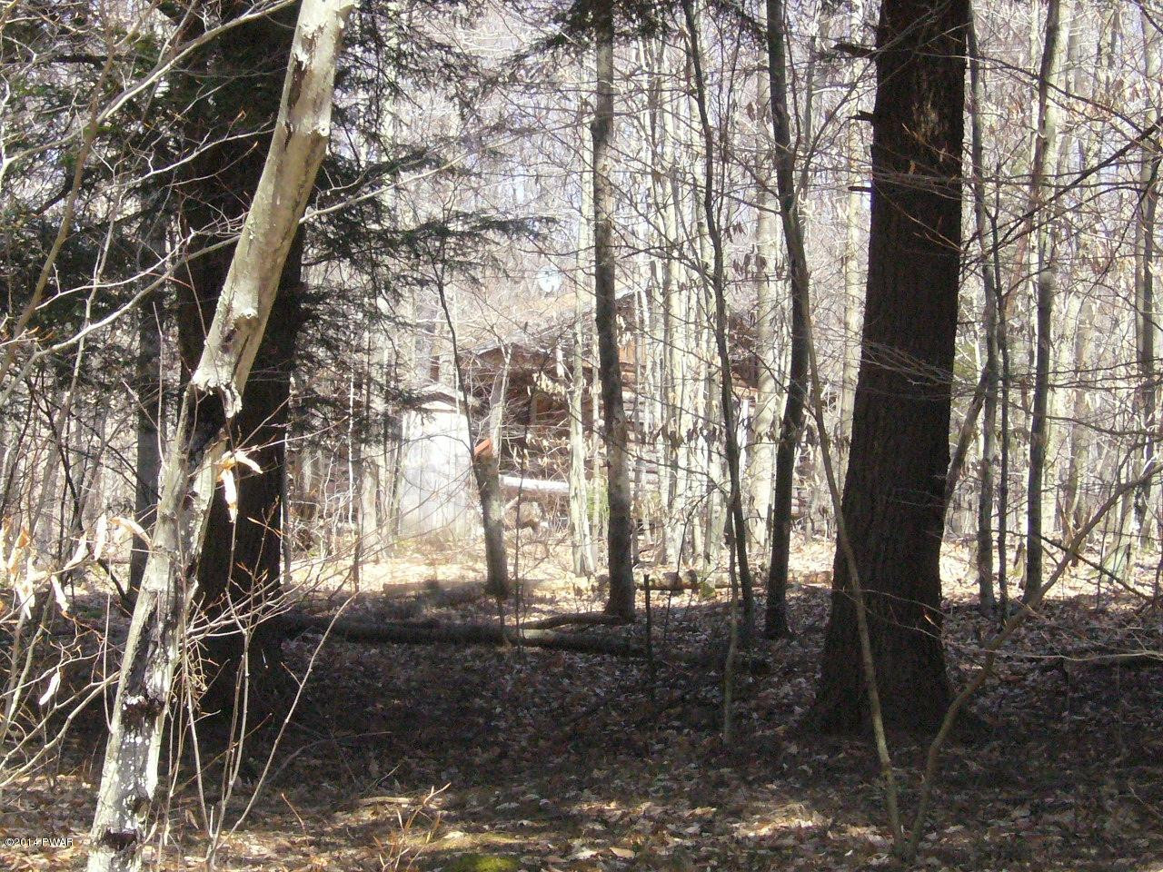 0 Dufton Hollow Road Hancock, NY 13783 - Photo 8 of 11