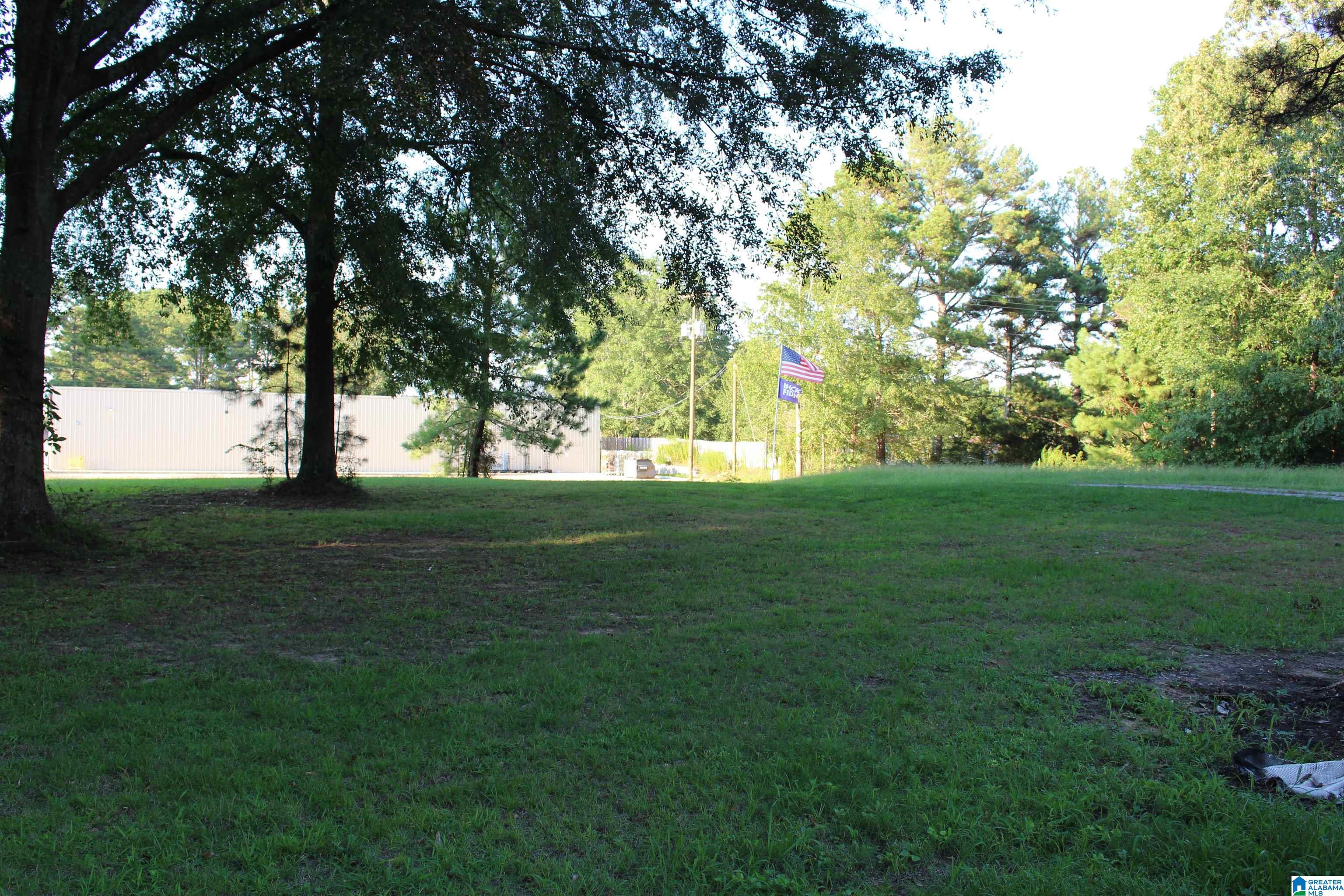 80 County Road 72 Danville, AL 35619 - Photo 4 of 11