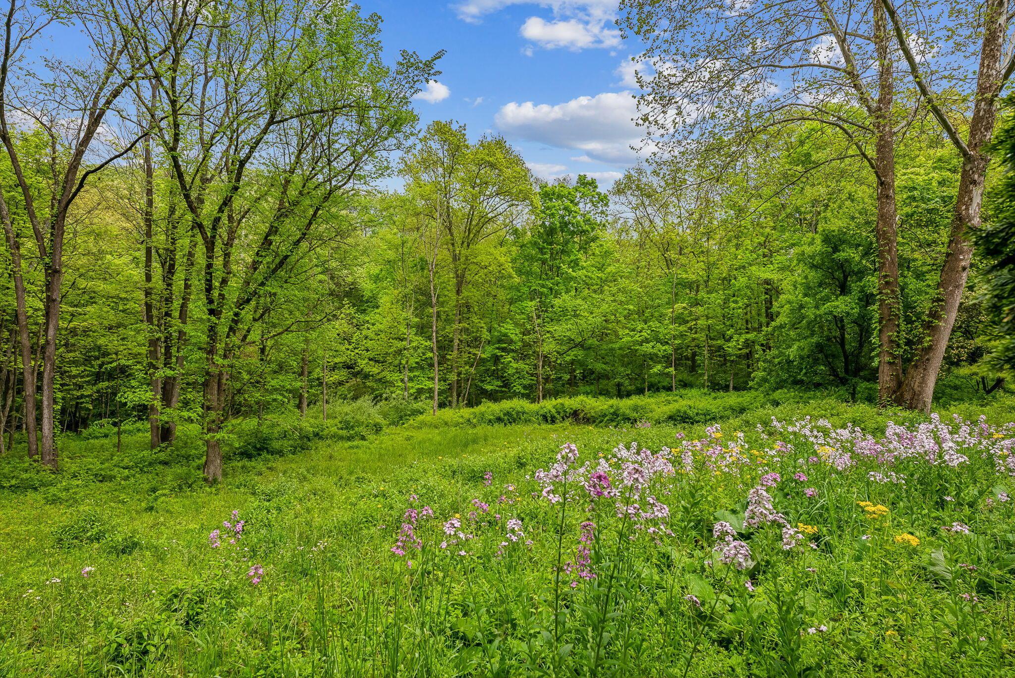 1790 Jewett Road Powell, OH 43065 - Photo 33 of 40 untouched nature