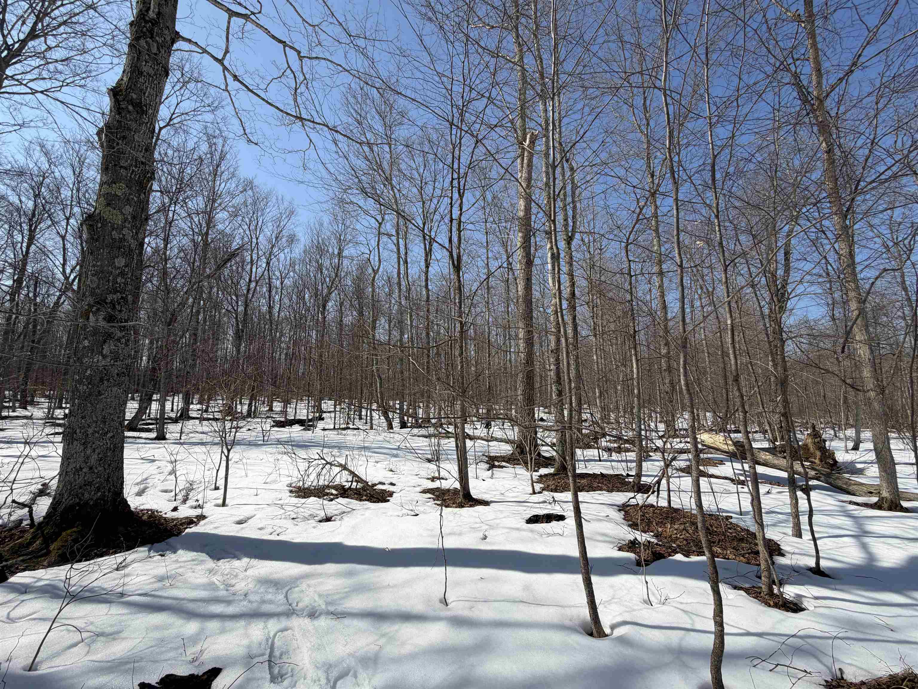 South Drew Road Empire, MI 49630 - Photo 24 of 28 Gallery Image 24