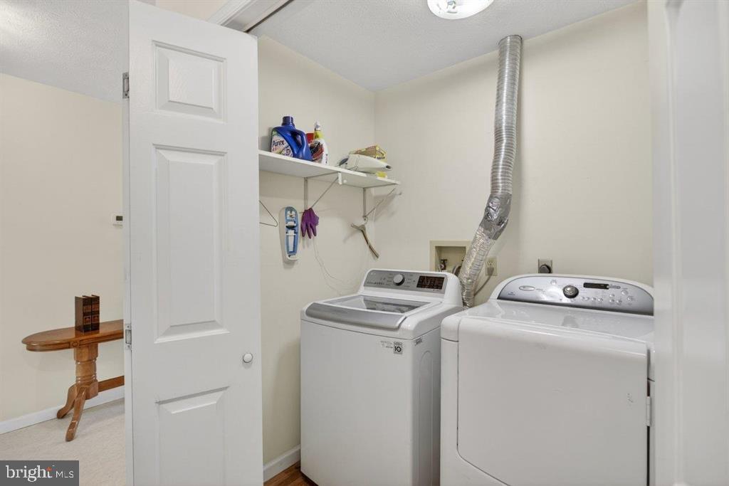 2220 Pine Woods Road Quicksburg, VA 22847 - Photo 53 of 55