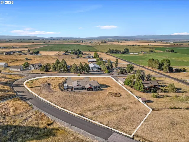 a view of living room kitchen and hardwood