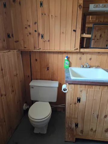 a bathroom with a toilet a sink and wooden floor