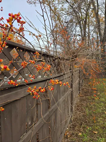 a view of an outdoor space