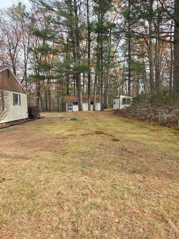 a view of a yard with a trees