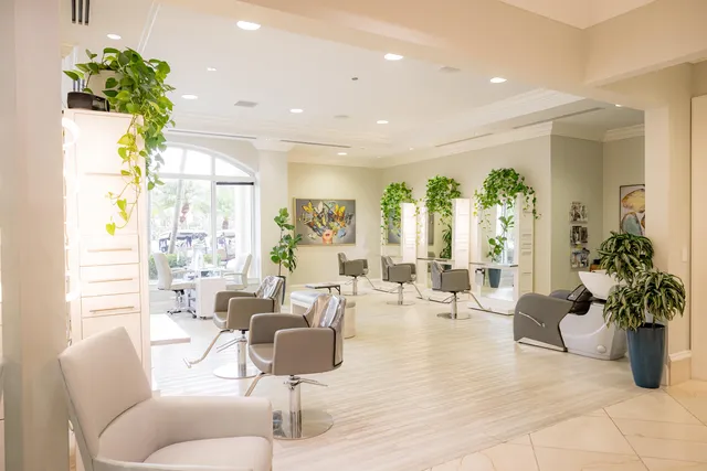 a living room with furniture potted plant and a large window