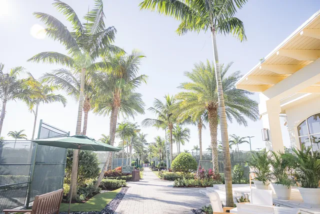 a view of a bench in terrace