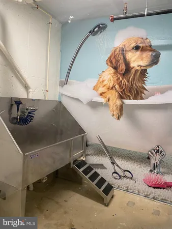 $3,950 | 811 North Columbus Street, Unit 302, Alexandria, VA 22314