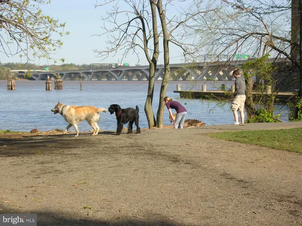 $4,200 | 811 North Columbus Street, Unit 302, Alexandria, VA 22314