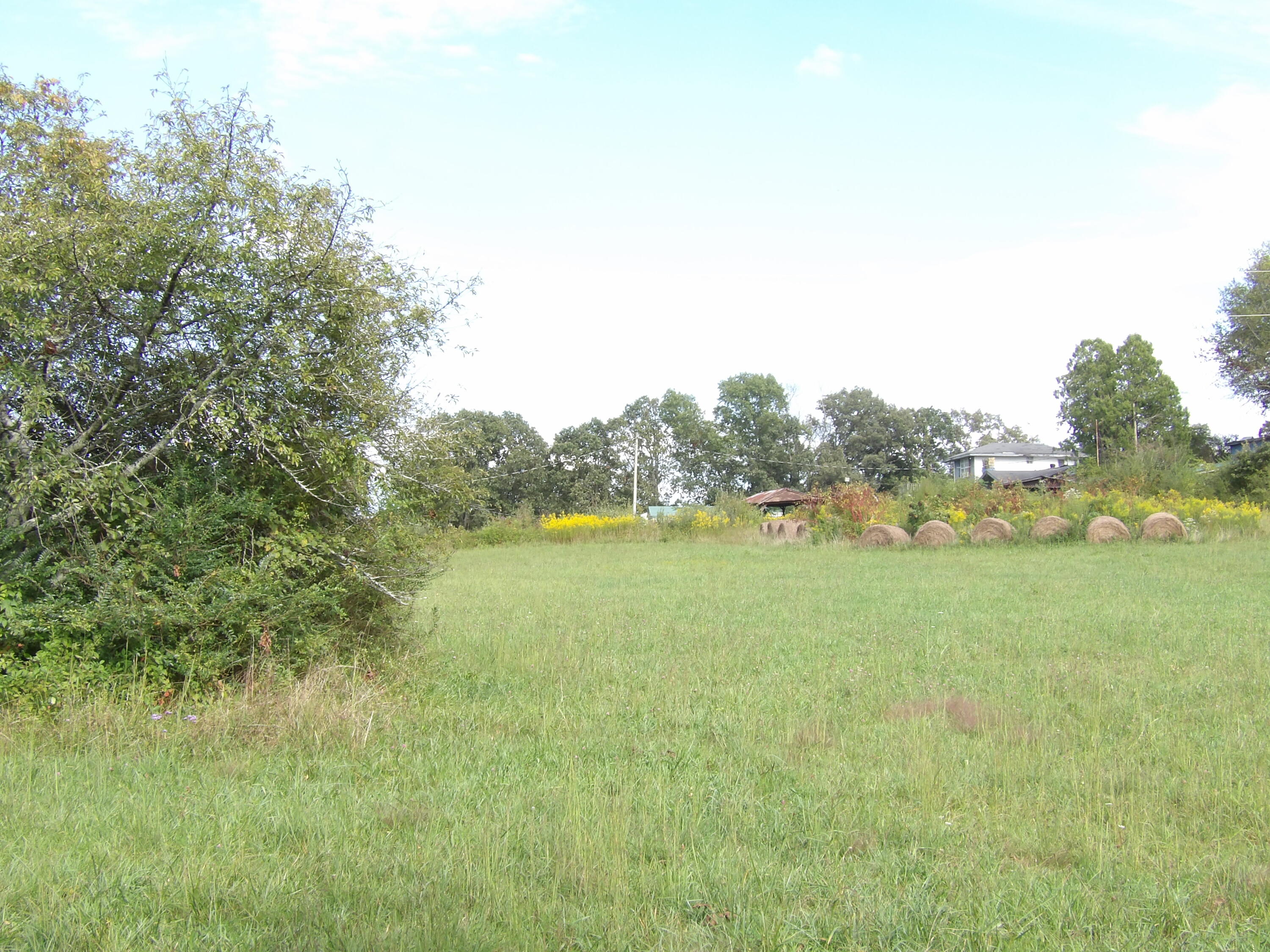 2 Panter Bottom Road Pikeville, TN 37367 - Photo 14 of 17 100_6041