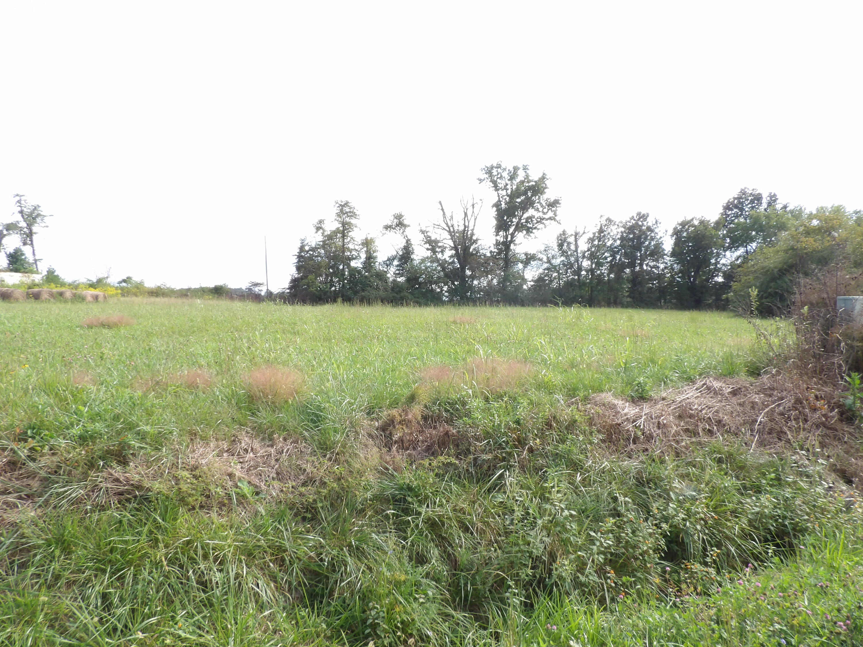 2 Panter Bottom Road Pikeville, TN 37367 - Photo 8 of 17 100_6033