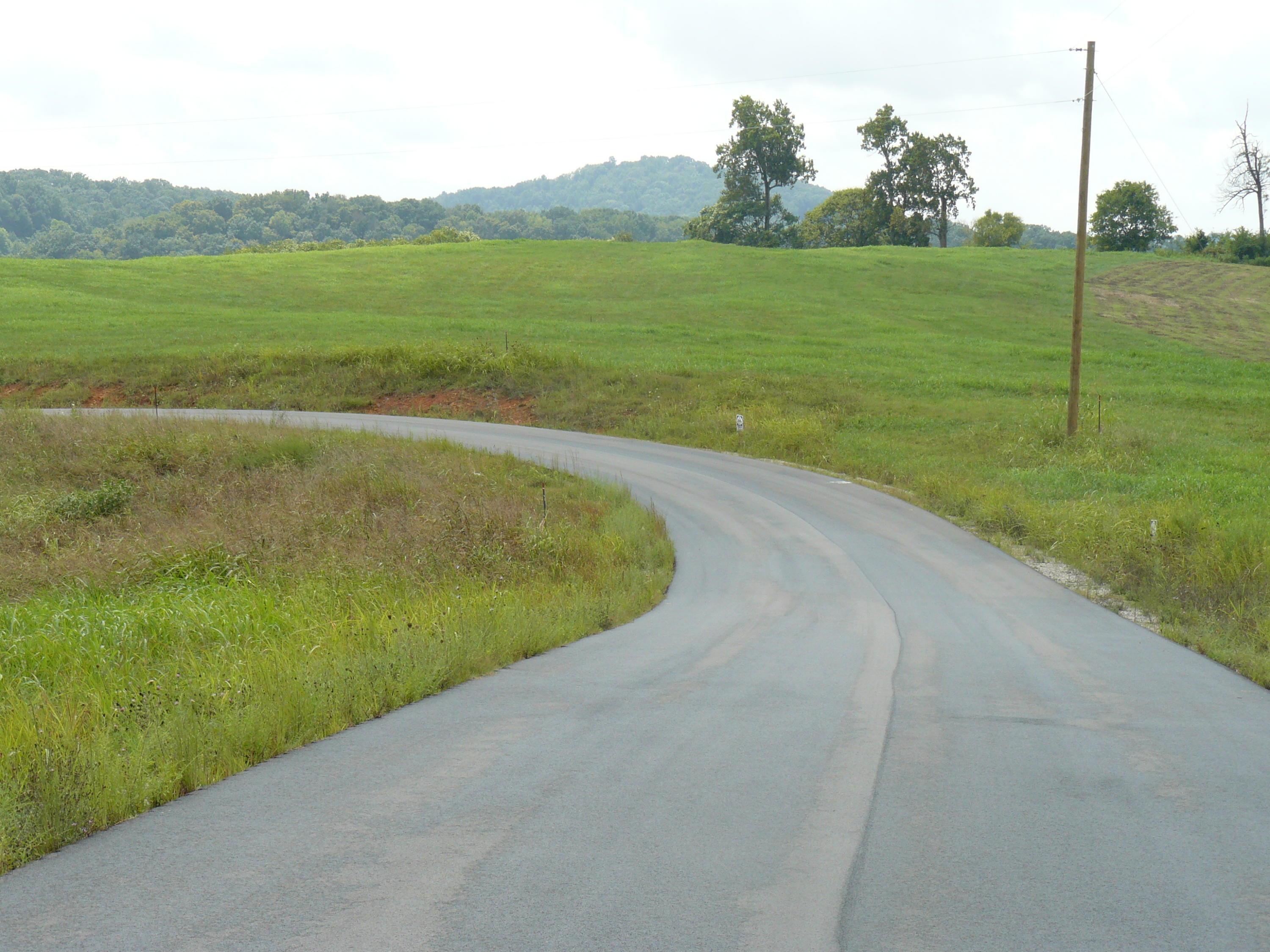 Lot 12 Lookout Drive Rutledge, TN 37861 - Photo 2 of 2 P1360983