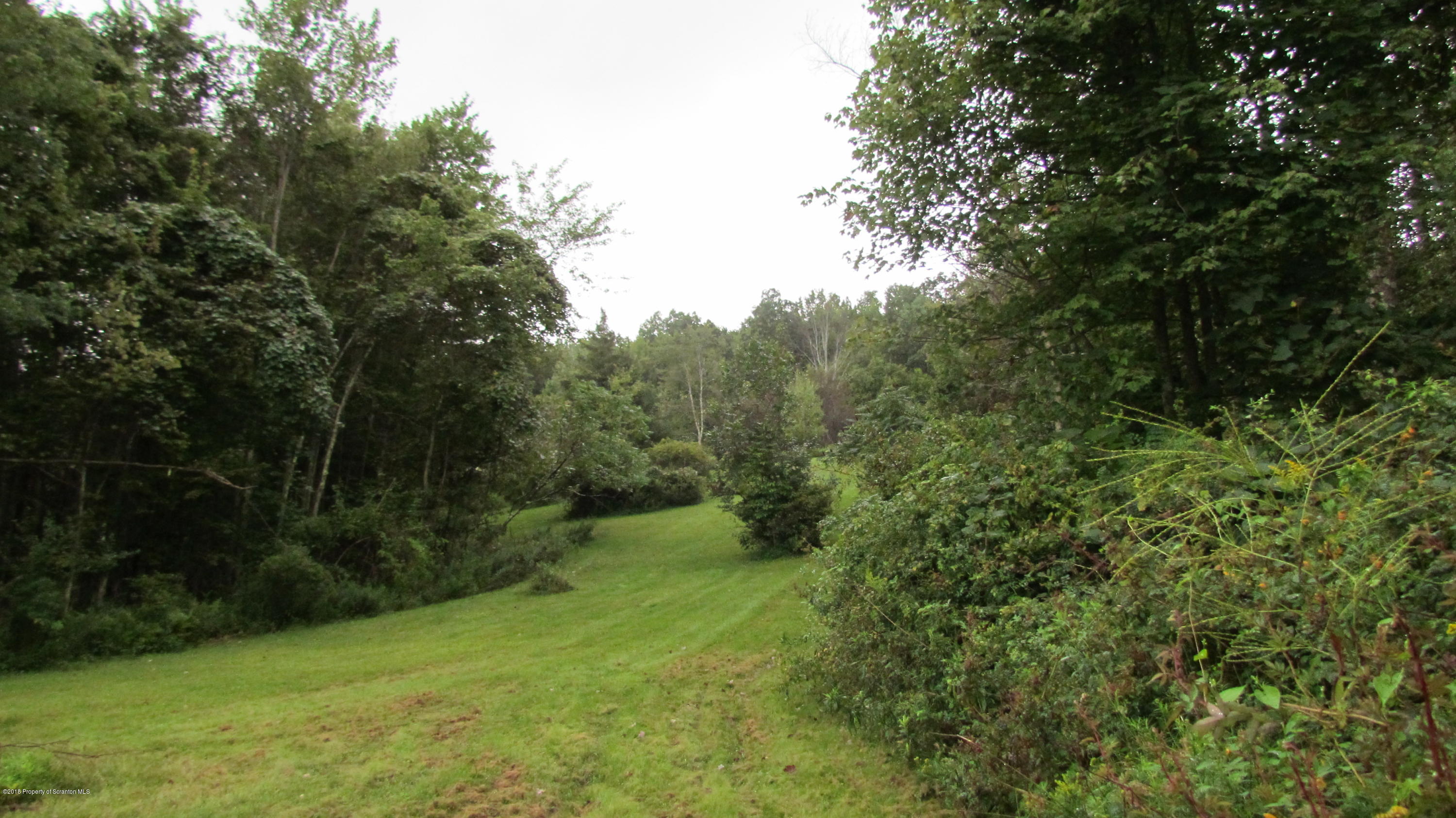 1603 Oak Ridge Road Mehoopany, PA 18629 - Photo 28 of 52 a view of a trees with a yard