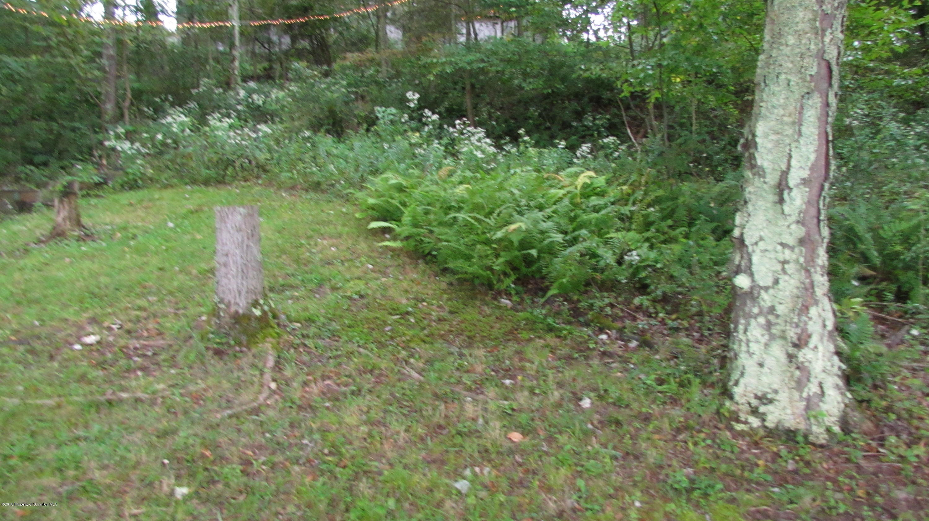 1603 Oak Ridge Road Mehoopany, PA 18629 - Photo 29 of 52 a view of a forest with a house