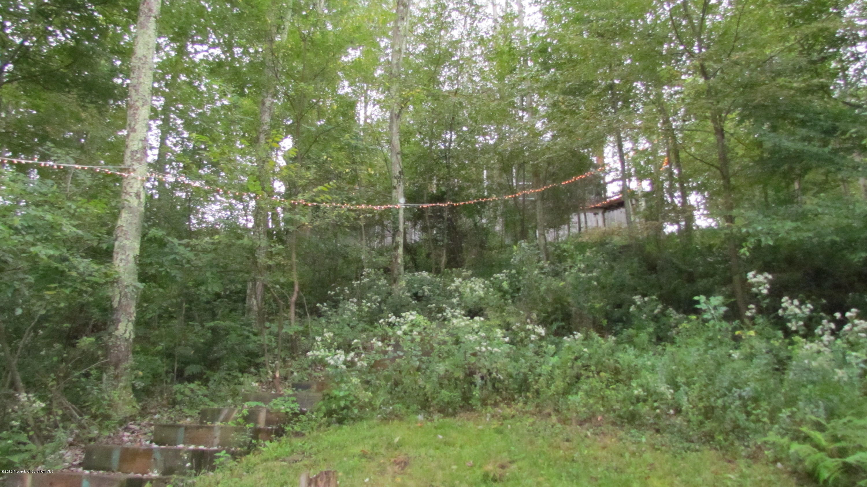 1603 Oak Ridge Road Mehoopany, PA 18629 - Photo 33 of 52 a view of a forest with a tree