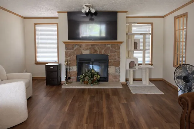a living room with furniture and a fireplace