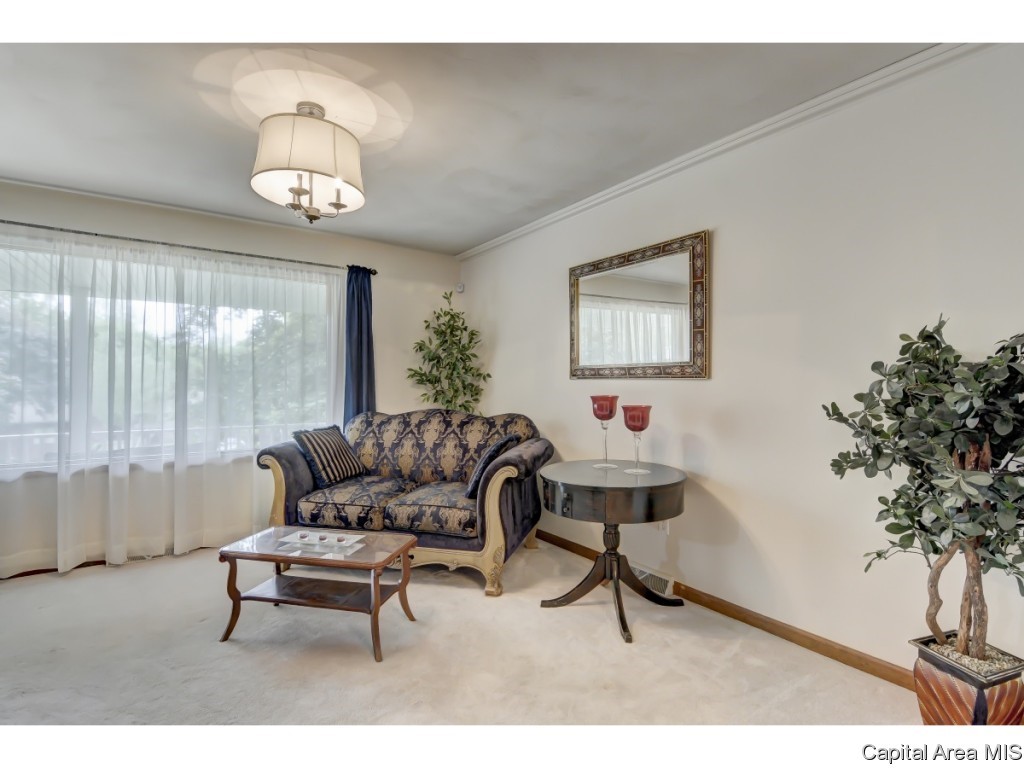 312 Thames River Road Springfield, IL 62711 - Photo 13 of 31