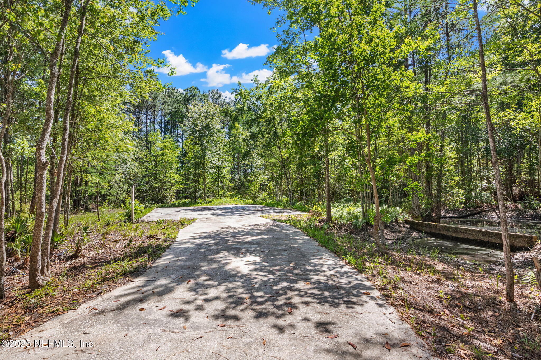 10024 Sandler Road Jacksonville, FL 32222 - Photo 34 of 40 a view of a park with large trees